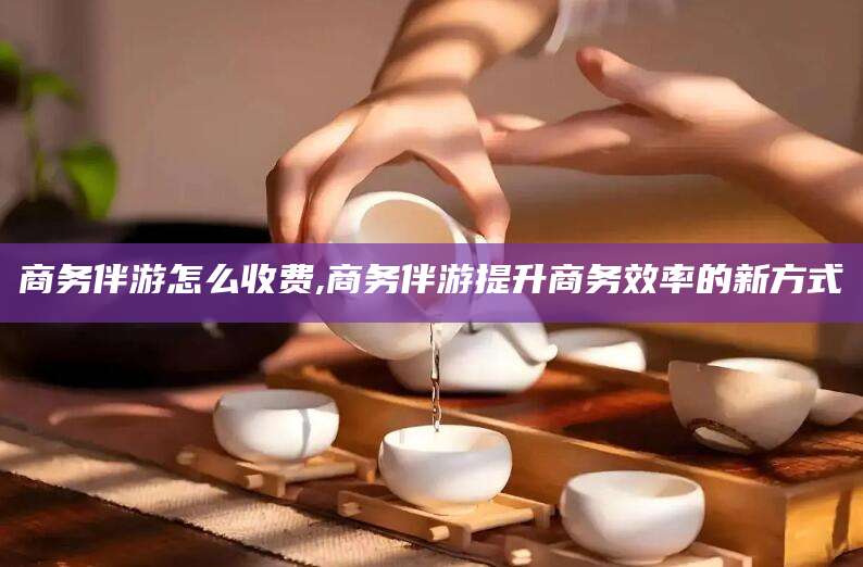 潍坊商务伴游怎么收费,商务伴游提升商务效率的新方式